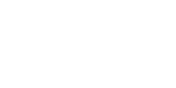 Polaris_Plus_logo_rescaled_to_polestar_weight